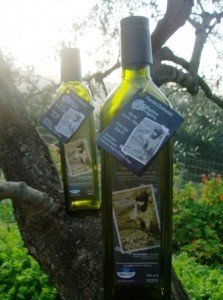 Frisch abgefülltes Tsounati-Olivenöl