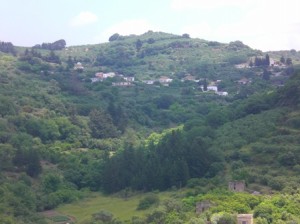 Blick auf das in einem Hang gelegene Panethimos